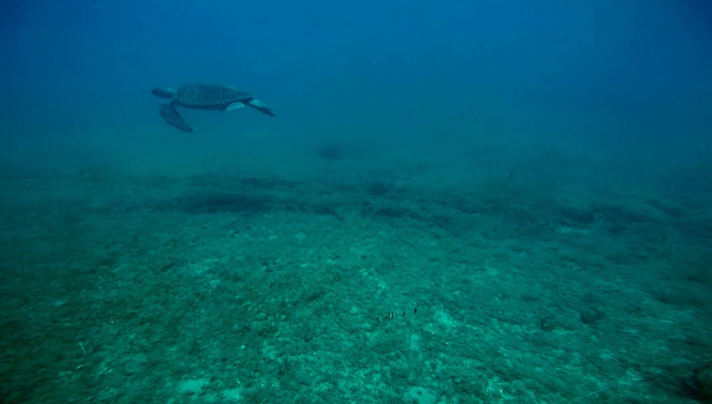 Marine habitat mapping @ Cyprus